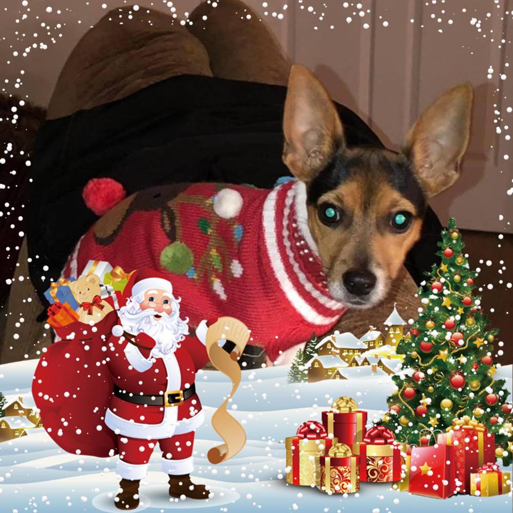 Meet your Posher, Melody